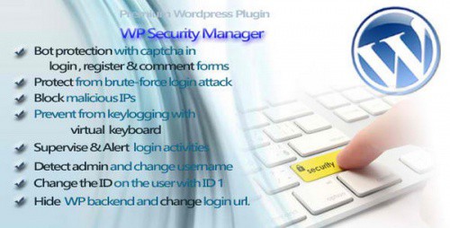 9.WP Security Manager: